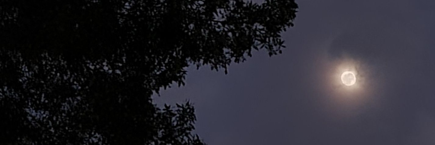 sea_z_'s profile banner image