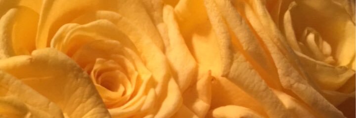 Jaster__'s profile banner image