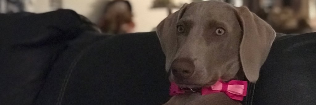 sherrycox13's profile banner image