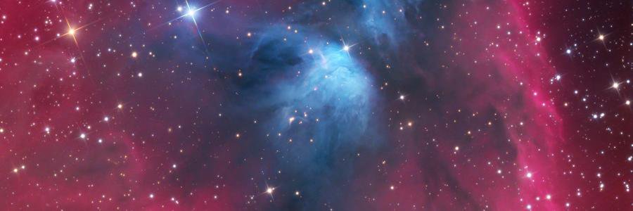 Flash Forward 🤖⚡️🔮 banner