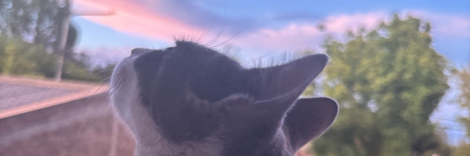 IgnacioPonce23's profile banner image