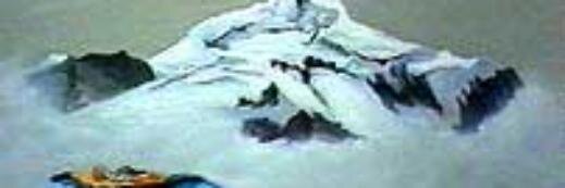 Dino Palacios banner