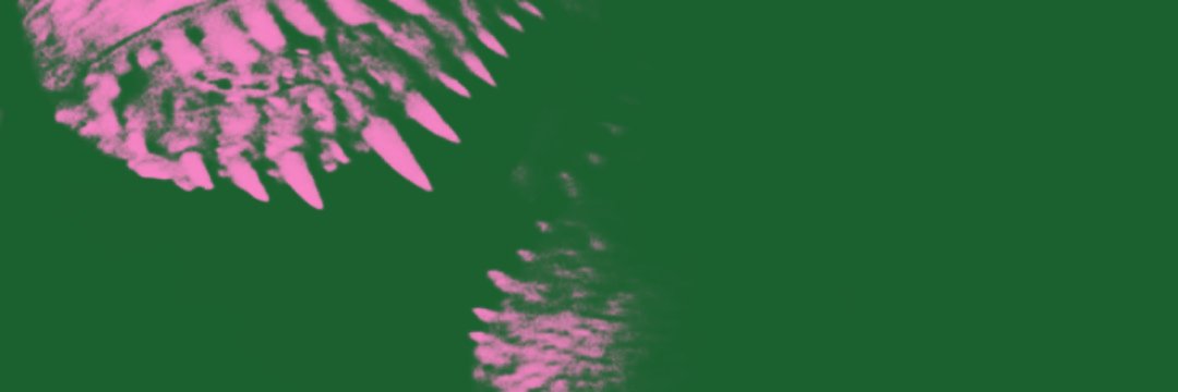 taofvck's profile banner image