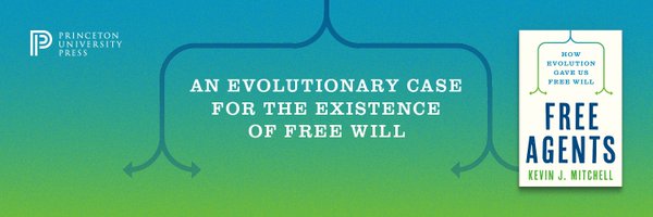 WiringTheBrain Profile Banner