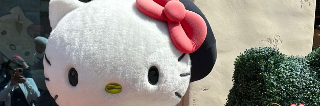 axgalicia's profile banner image