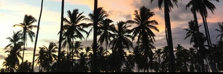 RxcixPiccx's profile banner image