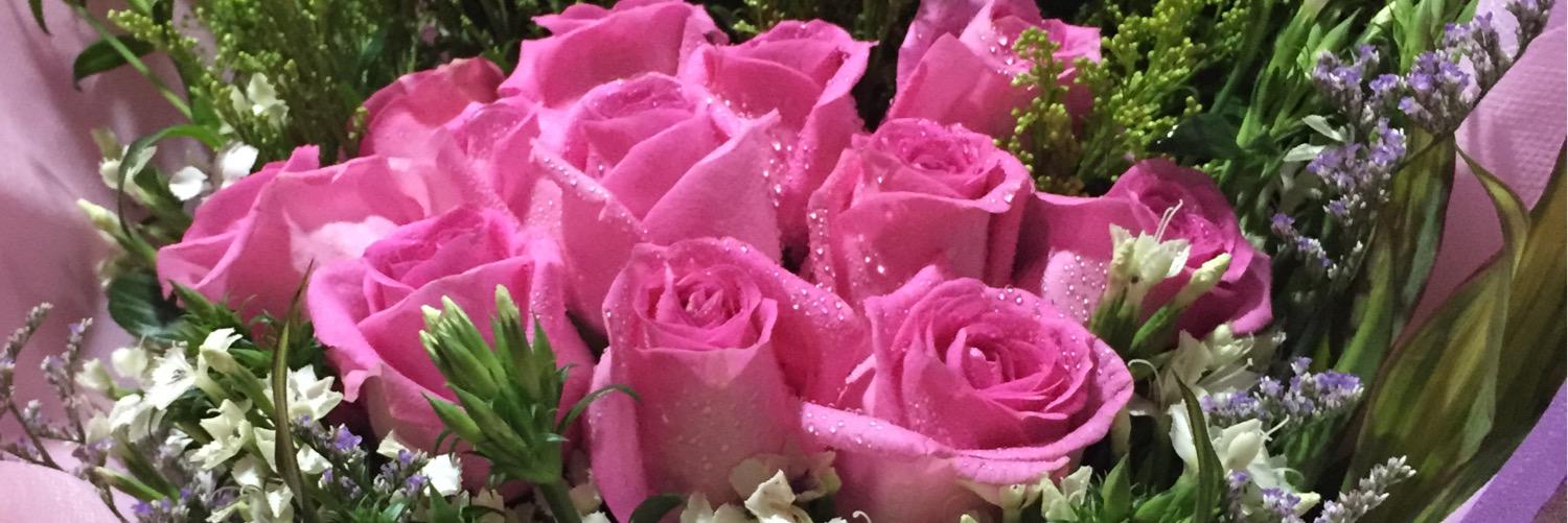 monna_ong's profile banner image