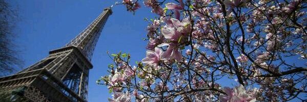 marta_mpi's profile banner image