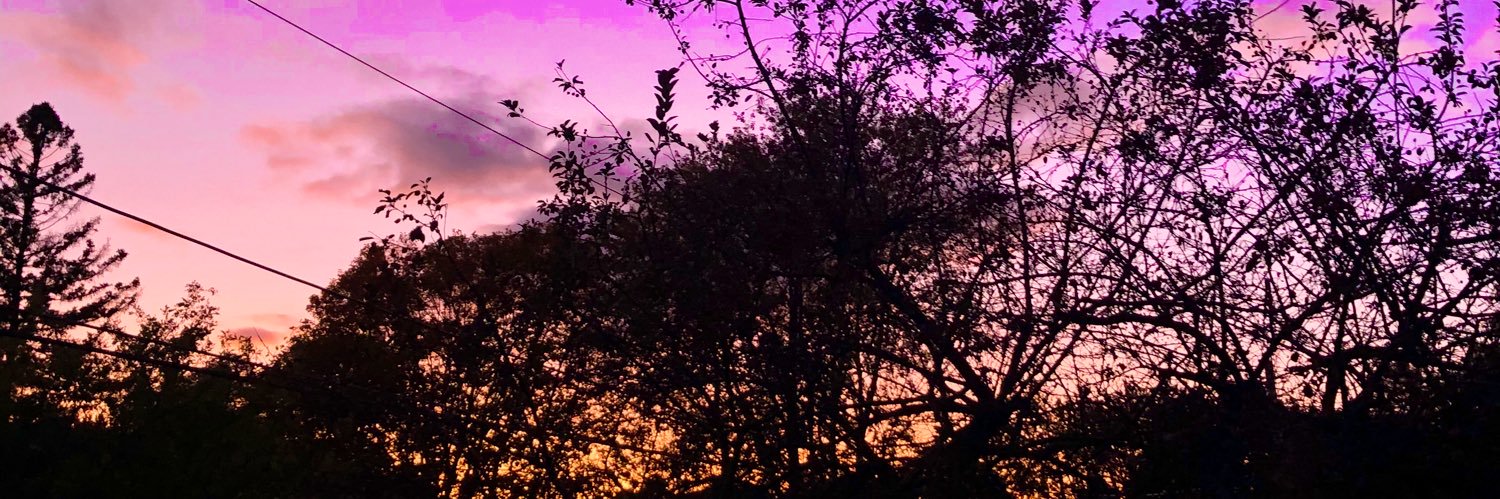 stephwalters's profile banner image