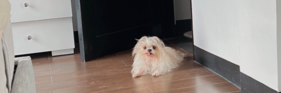 heyitsijm's profile banner image