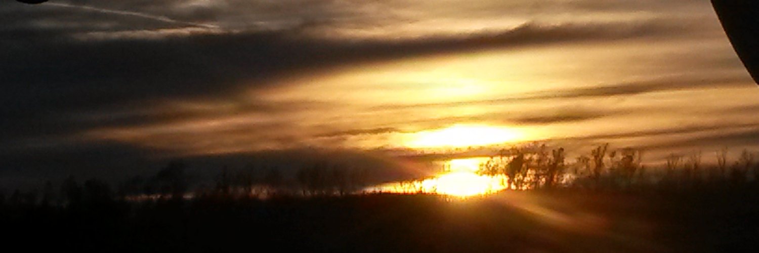 DebSoehlig's profile banner image