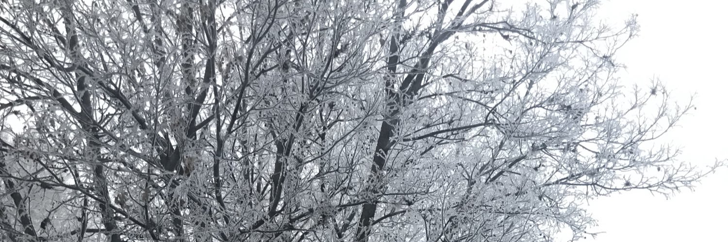 NissaMarie13's profile banner image