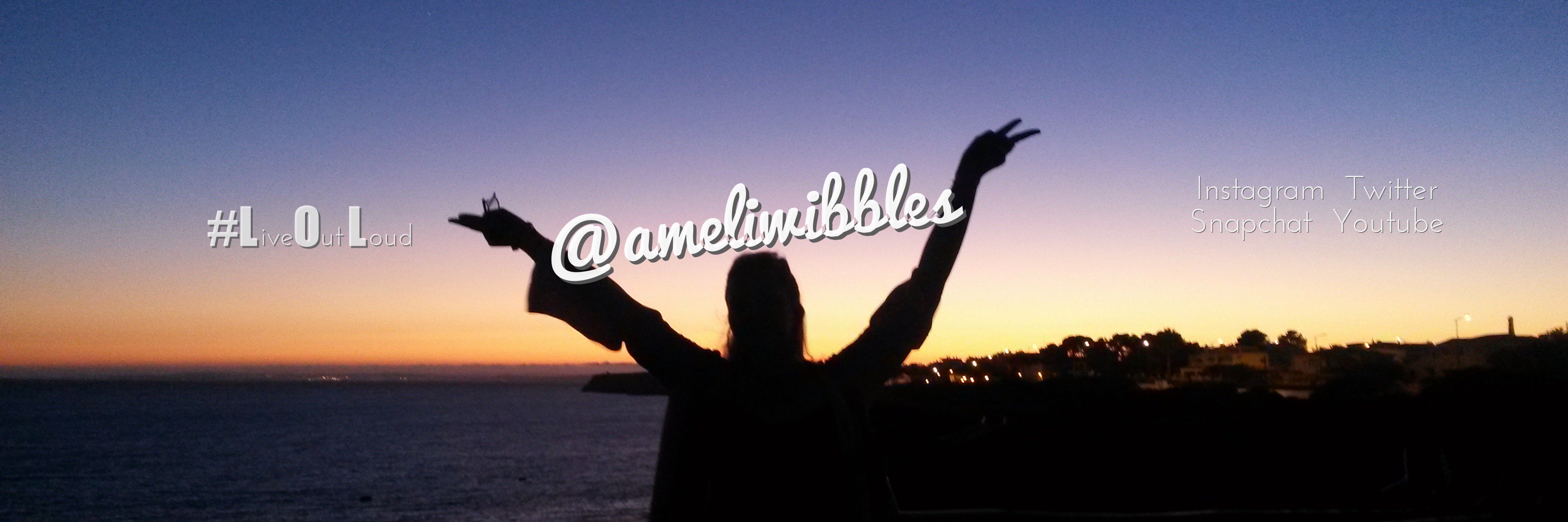 ameliwibbles's profile banner image