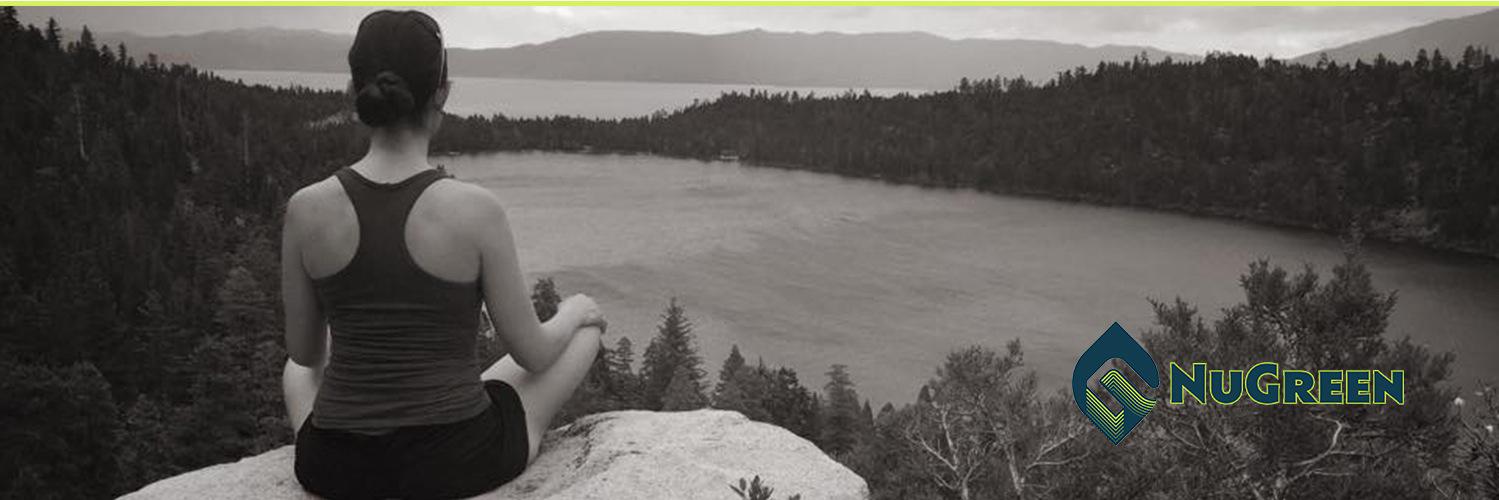 NuGreenWA's profile banner image