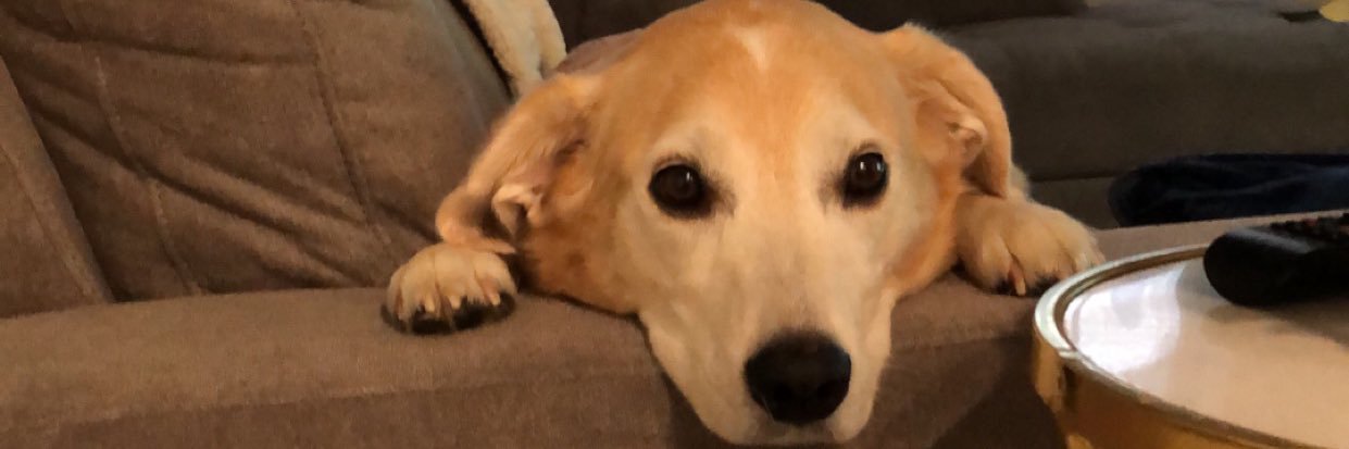 CimToastCrunchh's profile banner image