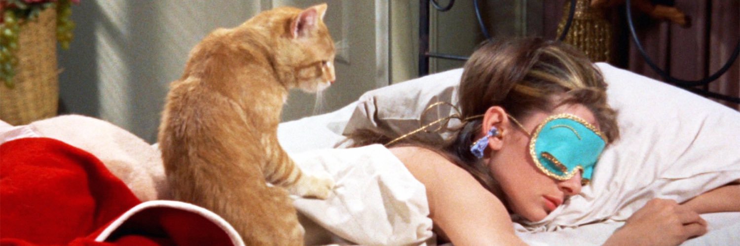 Fátima Ruiz. banner