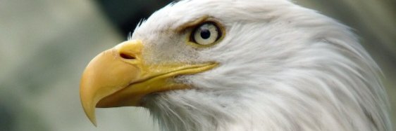 achuublessyou's profile banner image