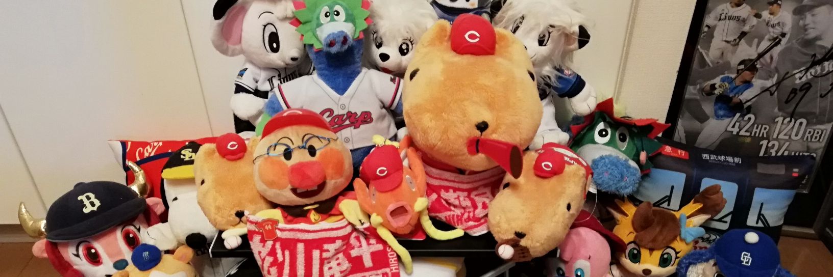 pie_carp33's profile banner image