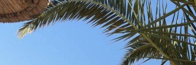odypart8's profile banner image