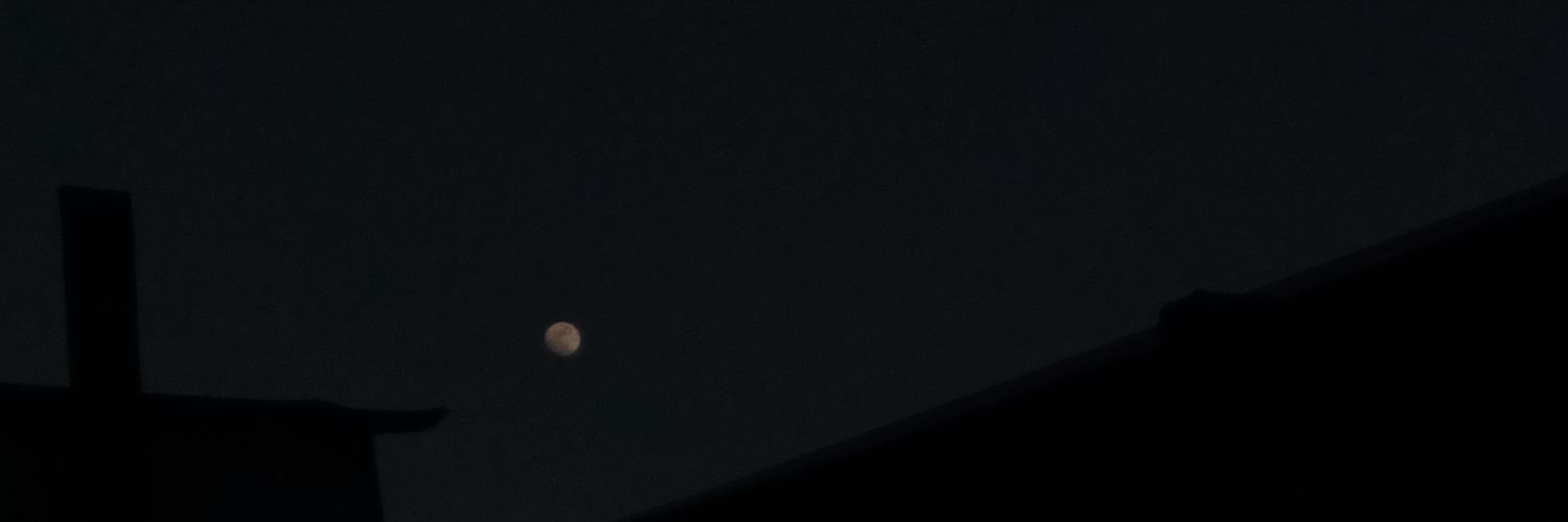 maracasymarimba's profile banner image