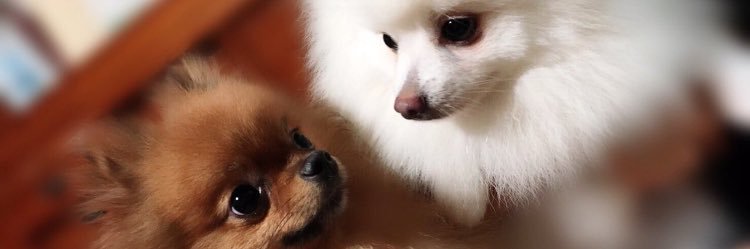 pen0403's profile banner image
