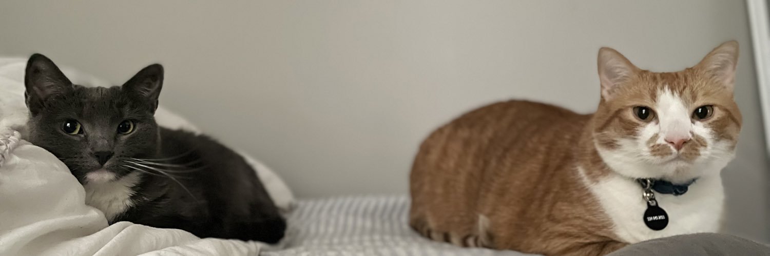 _findingmimo's profile banner image