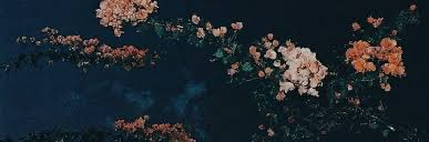 exadverso_'s profile banner image