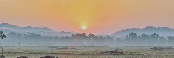 sugi_sy12's profile banner image