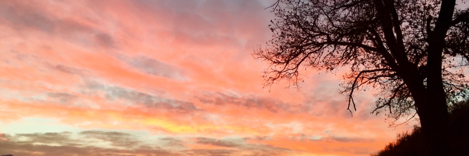beccapownall's profile banner image