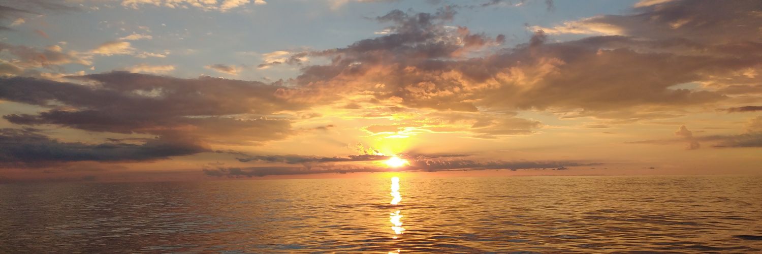 mac496's profile banner image