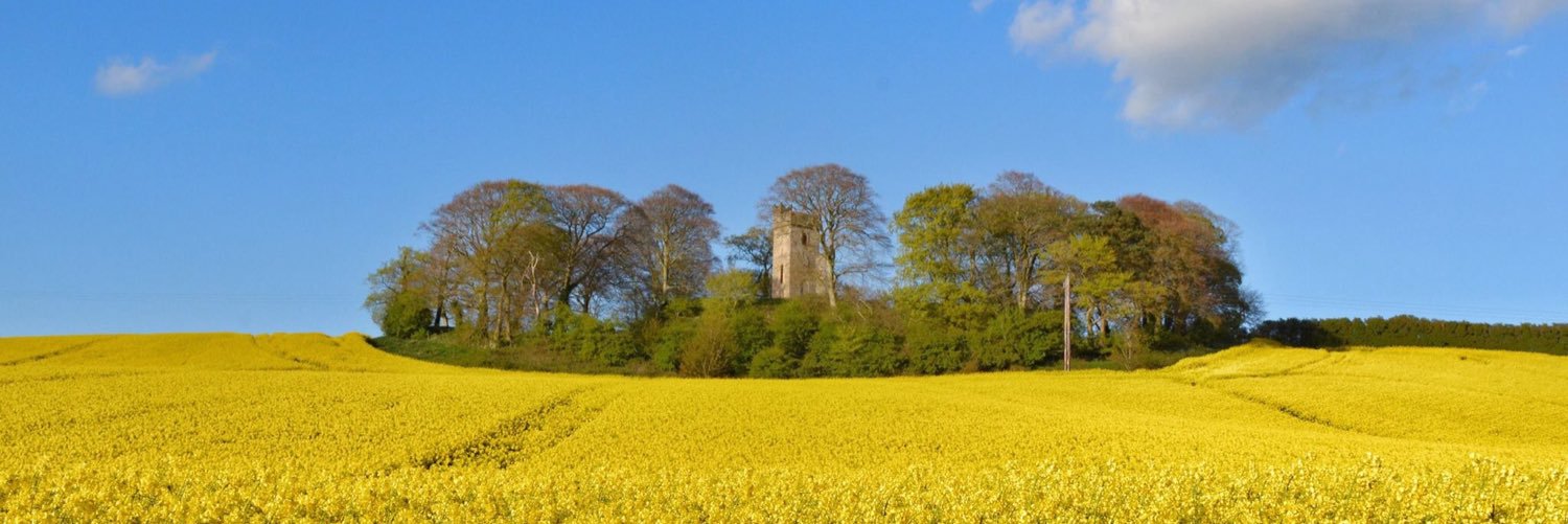 Derrycamma Farm🌾🌾🐝🦌 banner