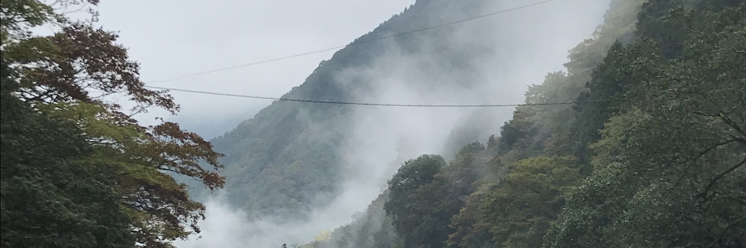 iusetaro's profile banner image
