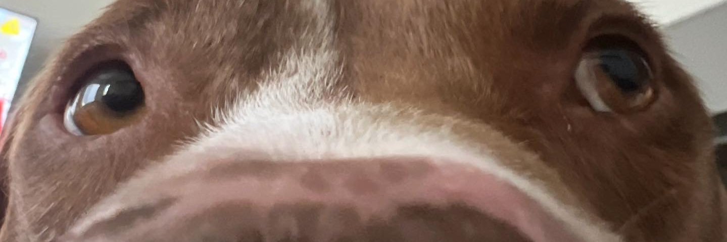 stacyhock03's profile banner image