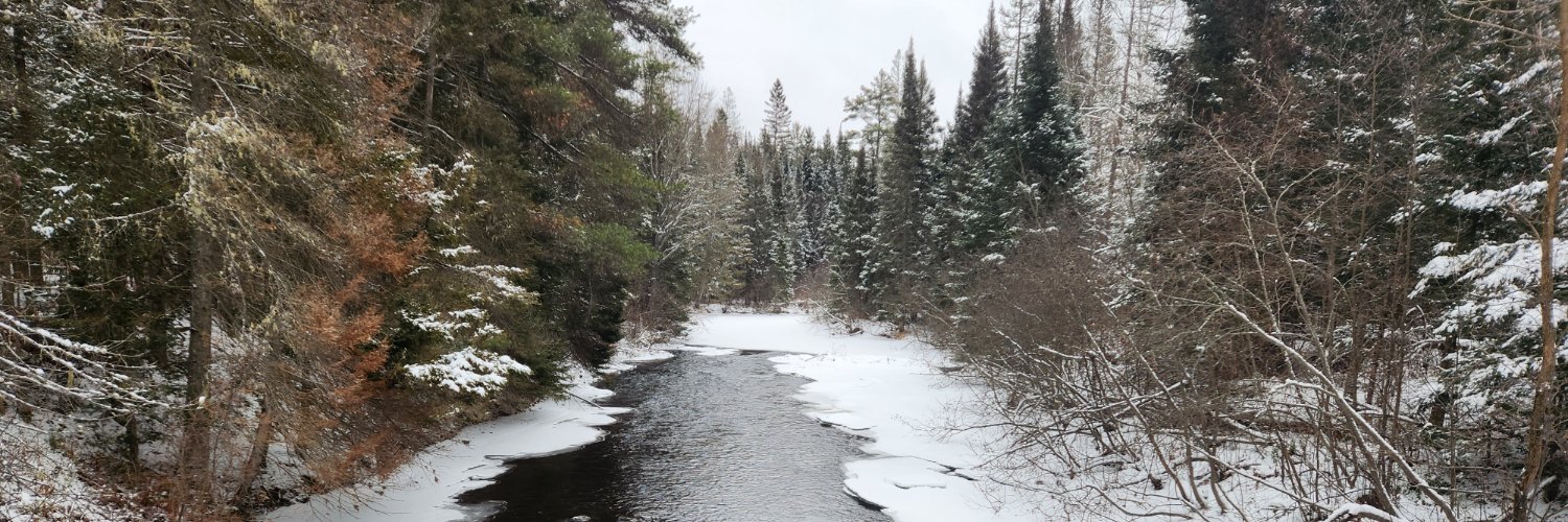 Samuel de Champlain banner