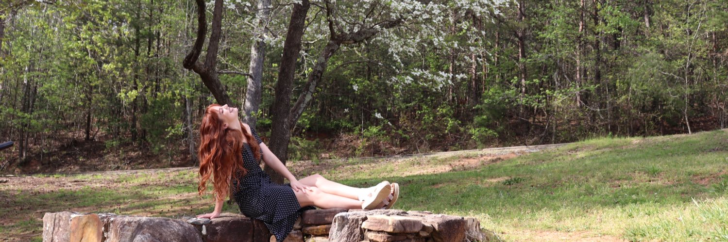 LaurenTimms's profile banner image
