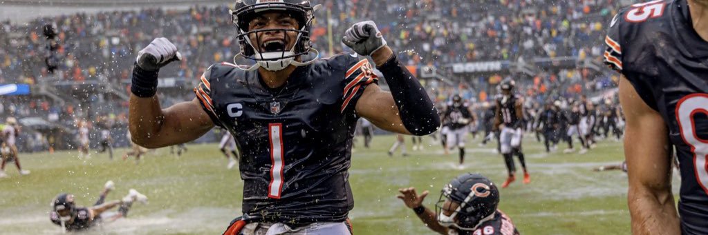 Recovering Bears fan banner