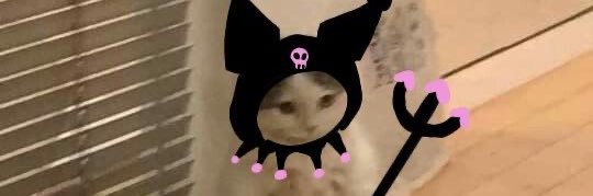 シpmyꪔ̤̥ banner