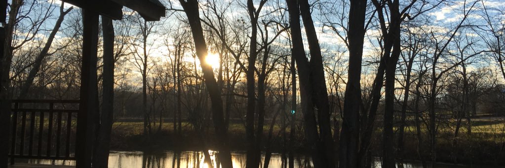 Tracy Carpenter banner