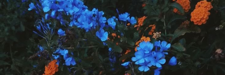 AshLo13_'s profile banner image
