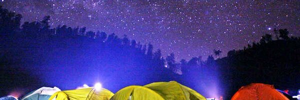 NgalasAdventure Profile Banner