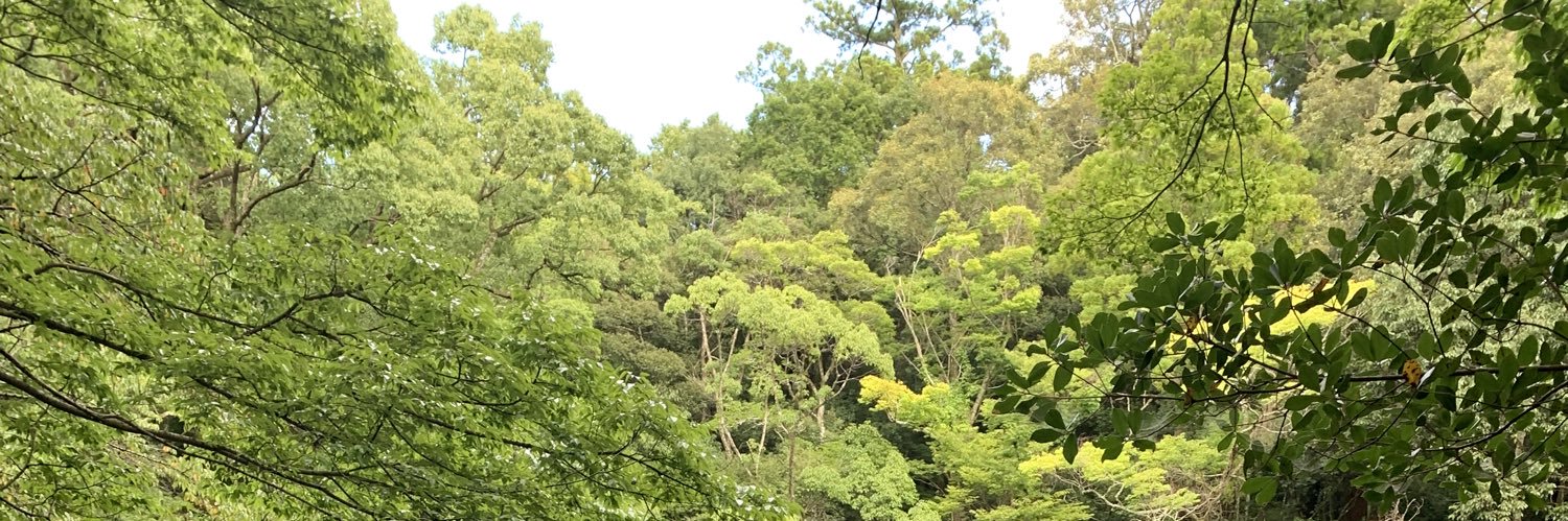 はがね banner