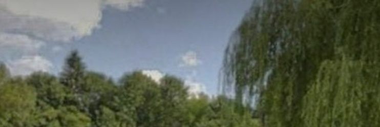 _Lalauris's profile banner image