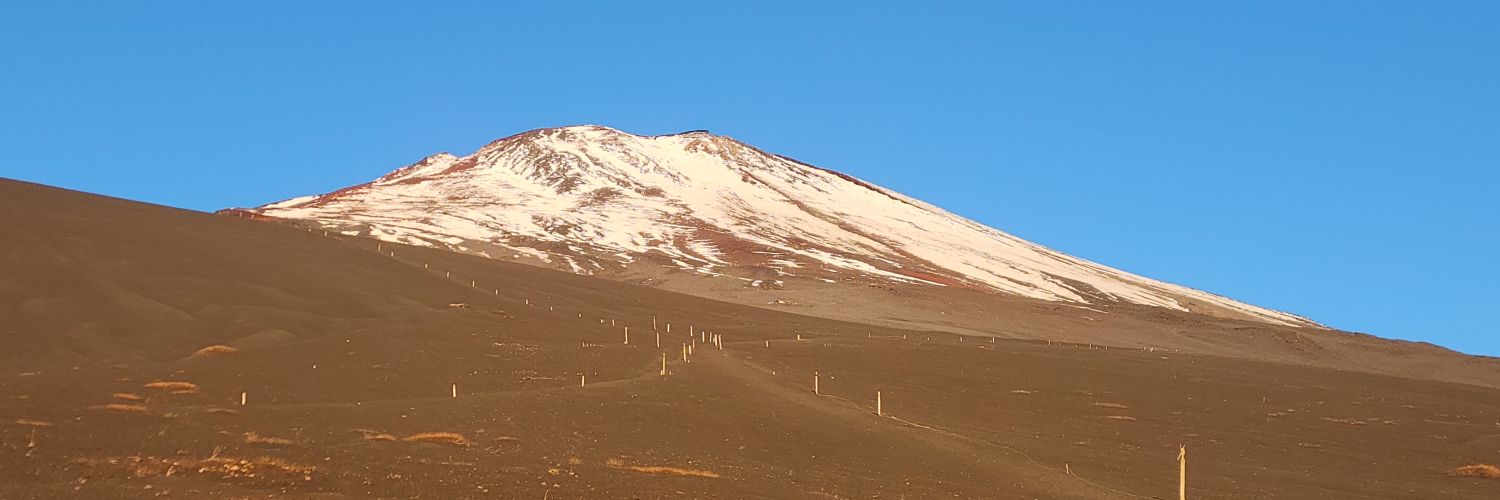 海老蔵 【 職業:おじさん 】 banner