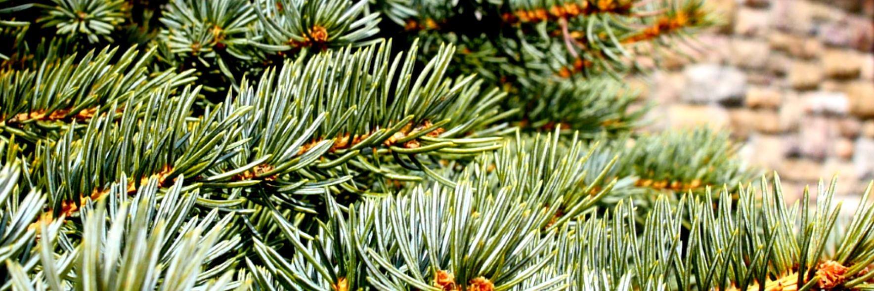 bayfieldlibrary's profile banner image