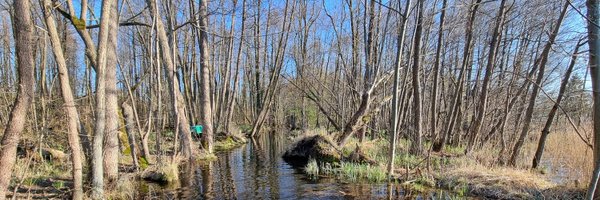 _Neelie_ Profile Banner