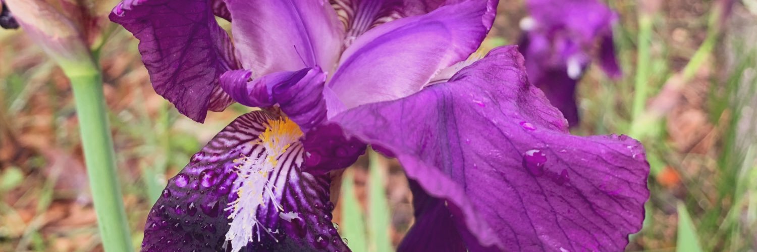 PostBlondMtp's profile banner image