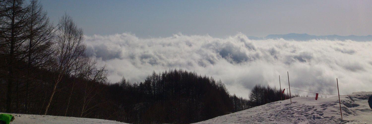 手抜き 42日目 banner