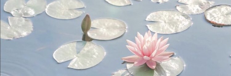 lotus_rn11's profile banner image