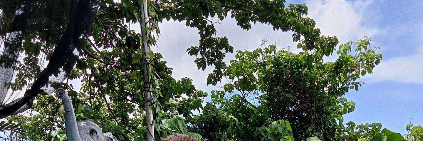 alterragoza's profile banner image
