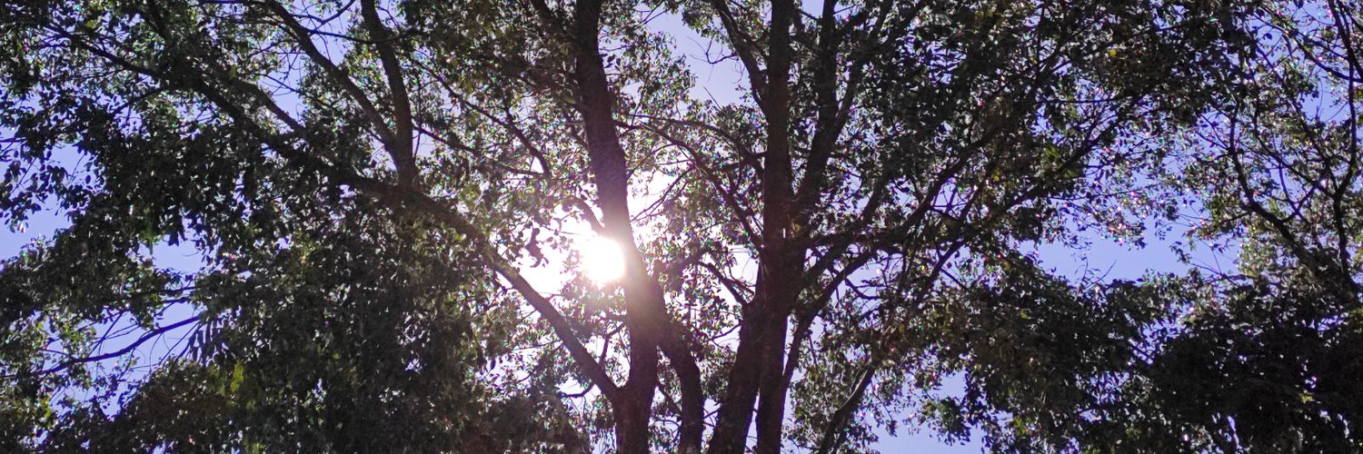 MillenaGS_'s profile banner image